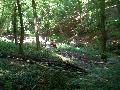 gal/Saison 2012/Championnat_Lorraine_Seniors_VTT_Boust_17_aout_2012/_thb_100_5649.JPG